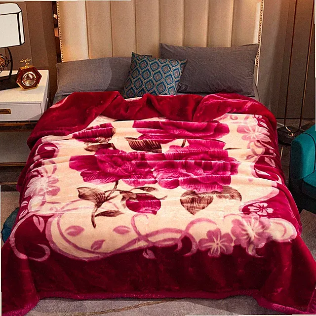 2-Ply Thick Heavy Fleece Blanket 4.4/6.6/7.7lb Printed Silky Soft Warm Blanket
