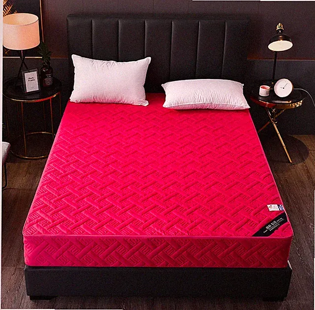 Quilted Mattress Cover with Zipper FittedSheet Six Sides Removable Protector Pad